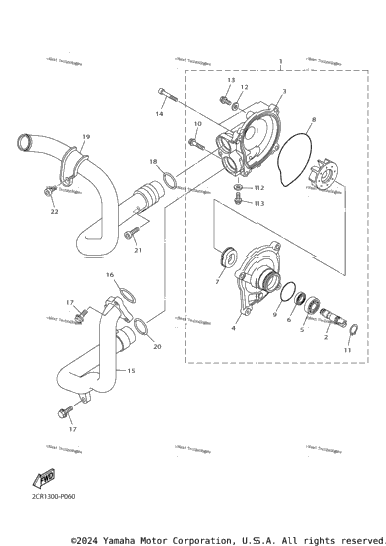 Water Pump