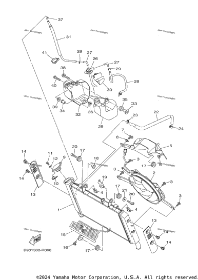 Radiator Hose