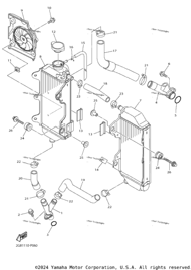 Radiator Hose