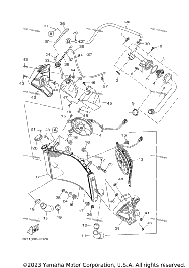 Radiator Hose