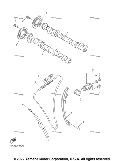 Camshaft Chain