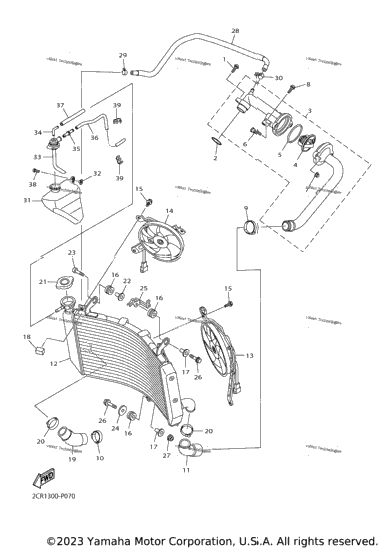 Radiator Hose