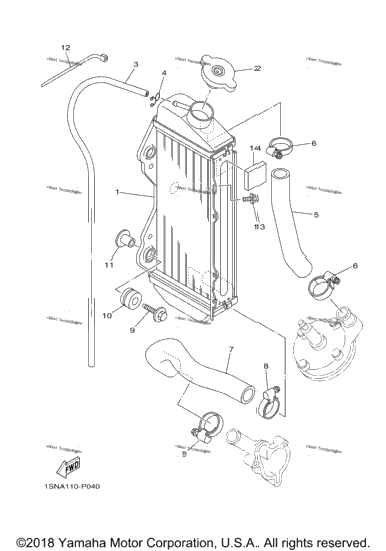 Radiator Hose