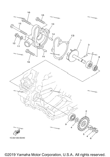 Water Pump