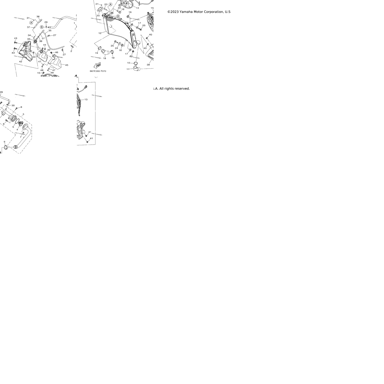 Radiator Hose