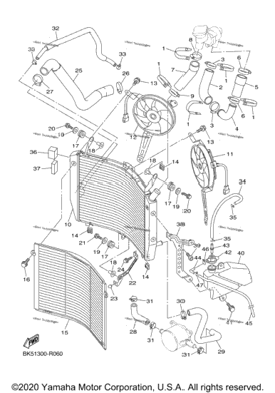 Radiator Hose