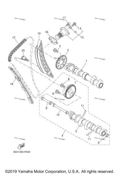 Camshaft Chain