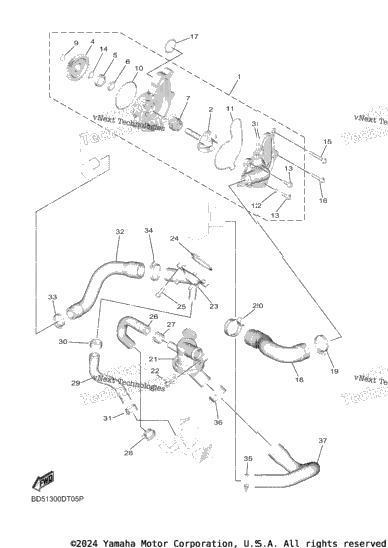 Water Pump