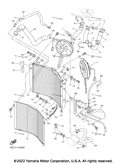 Radiator Hose