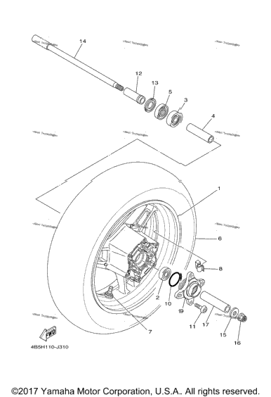 Rear Wheel