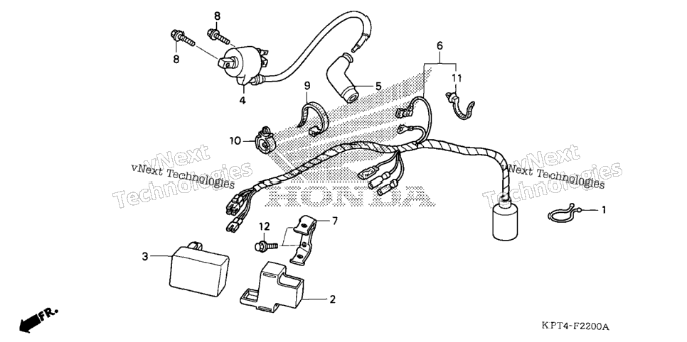 Wire Harness (1)