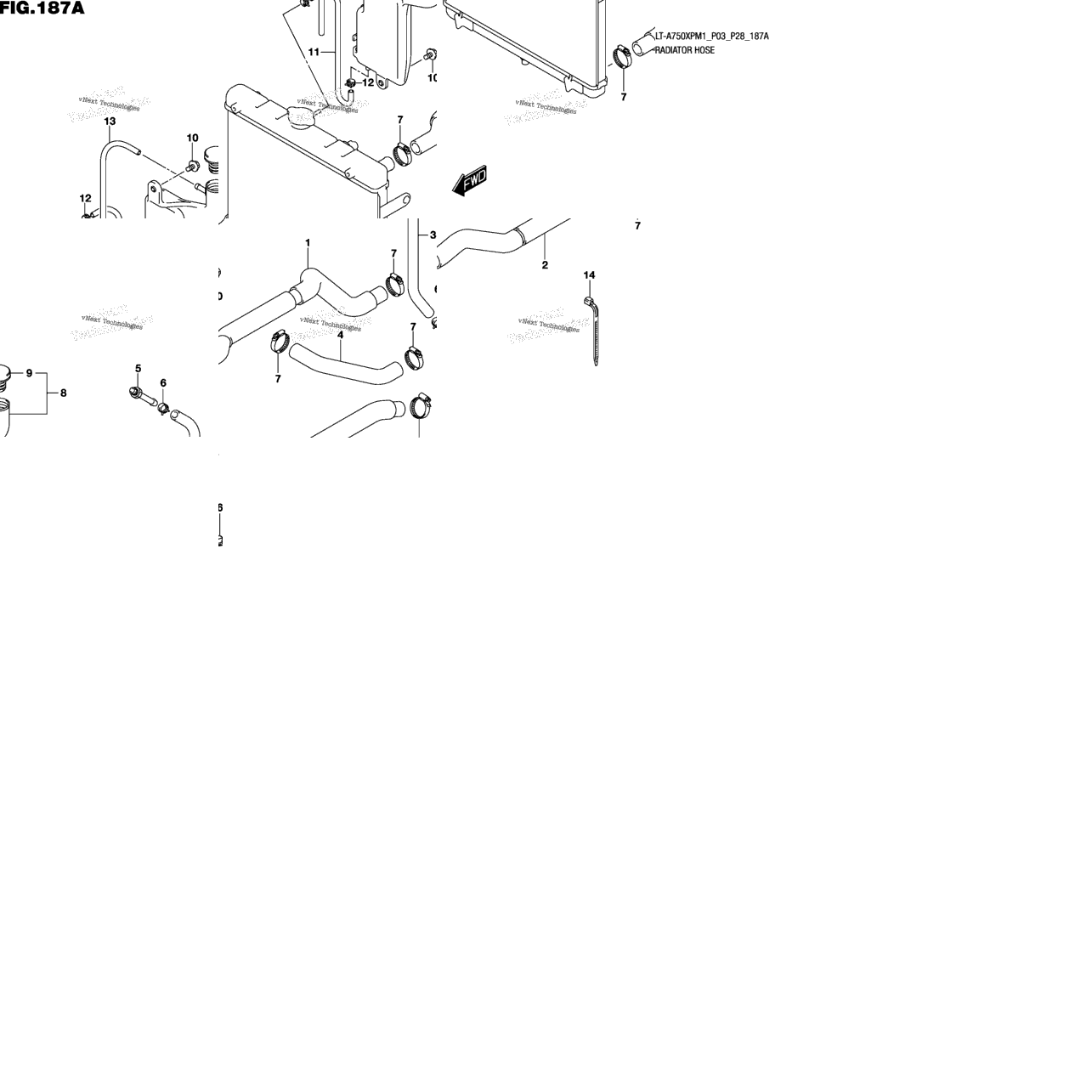 Radiator Hose