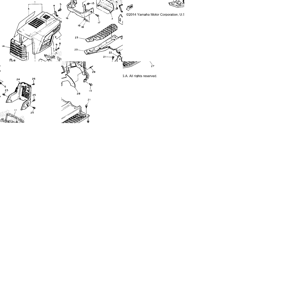 Body