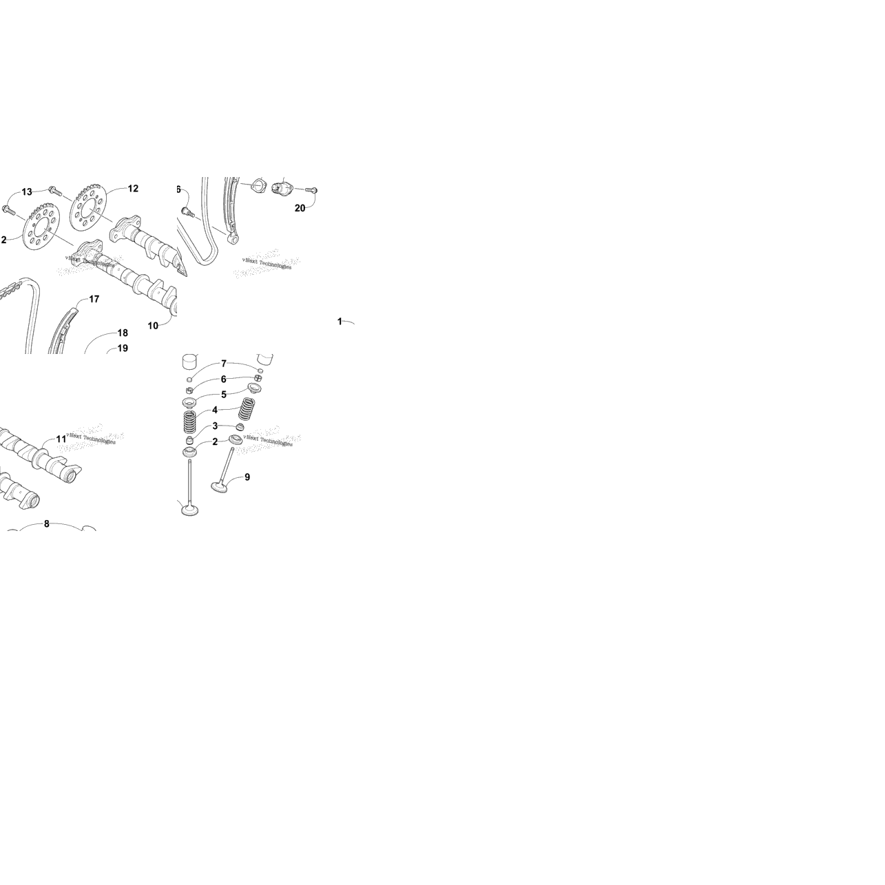 Camshaft, Chain, And Valve Assembly