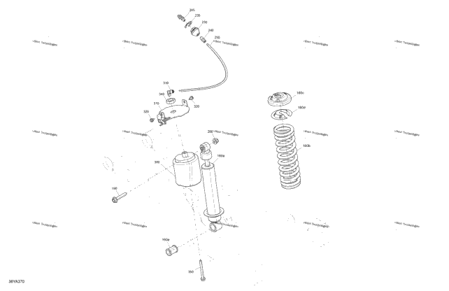 Suspension - Rear Shocks