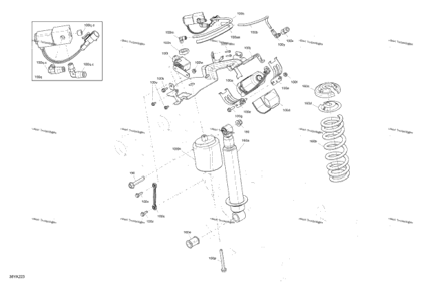 Suspension - Rear Shocks