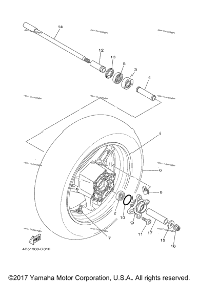 Rear Wheel