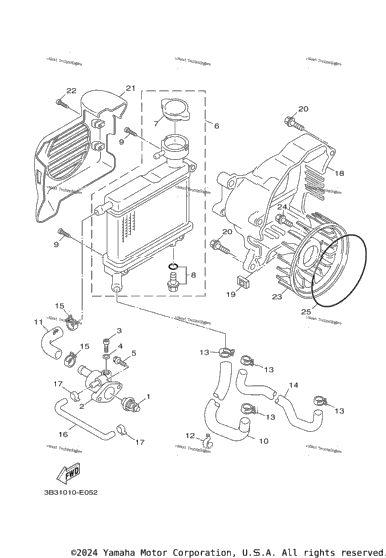 Radiator Hose