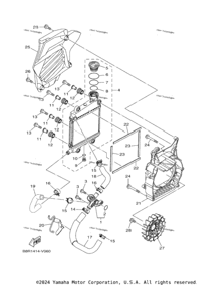 Radiator & Hose