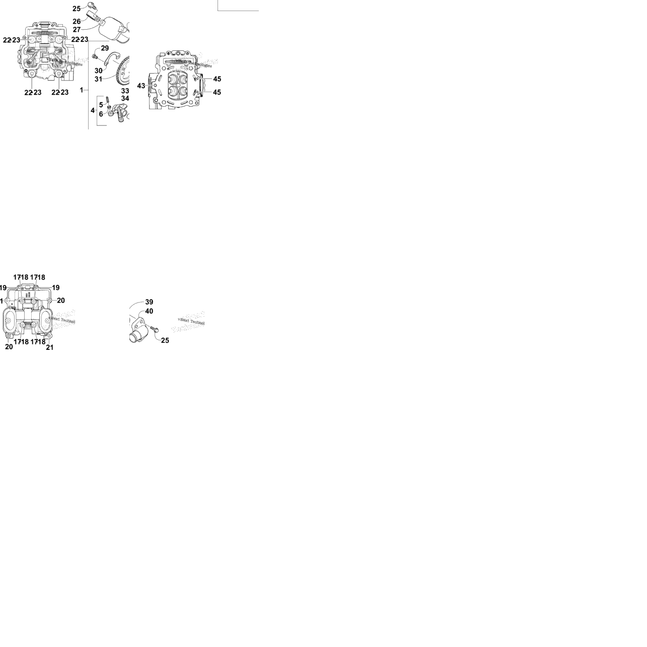 Cylinder Head And Camshaft/Valve Assembly