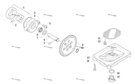 Oil Pump Assembly
