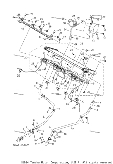 Radiator & Hose