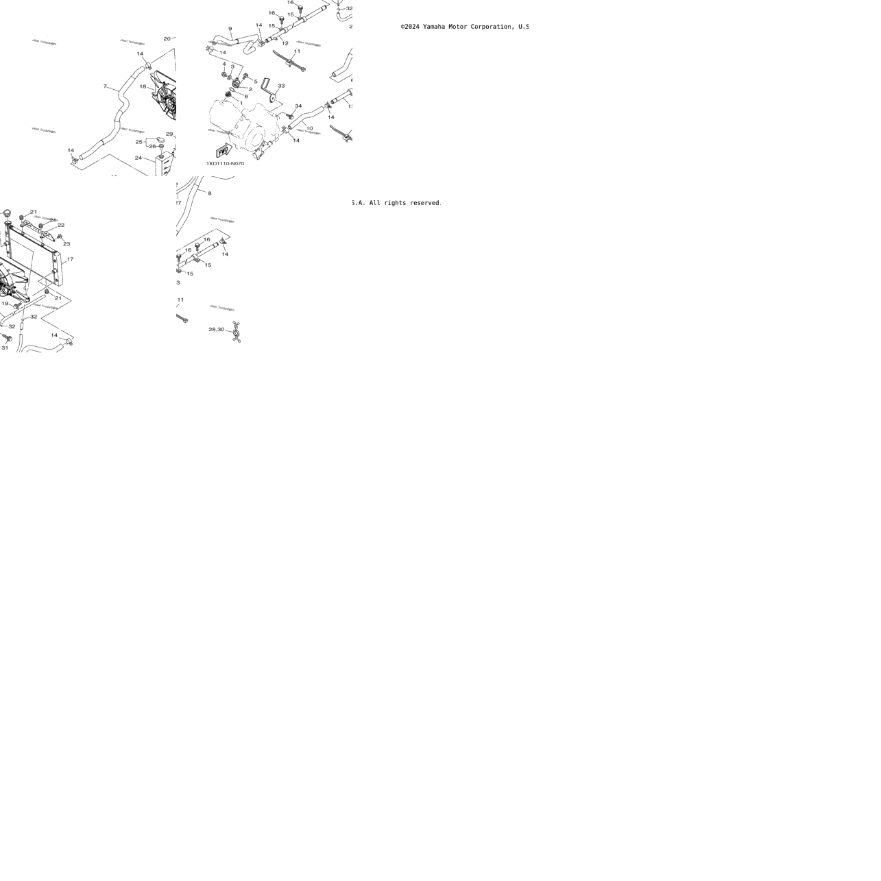 Radiator & Hose