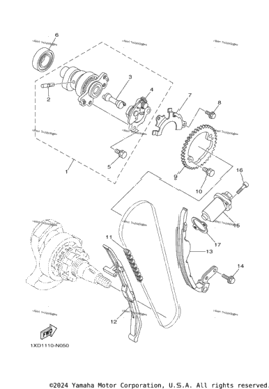 Camshaft & Chain