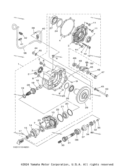 Drive Shaft