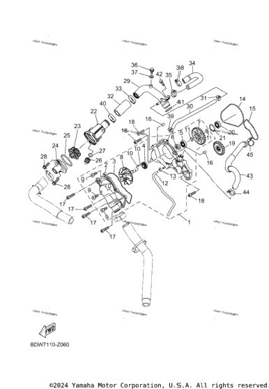 Water Pump