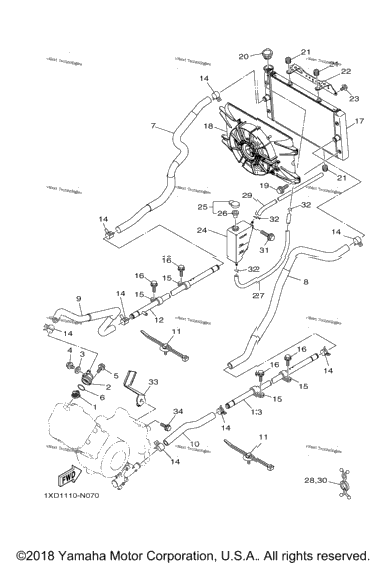 Radiator Hose