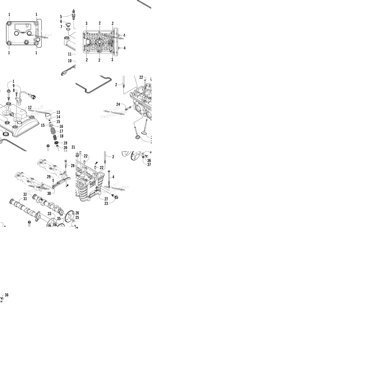 Cylinder Head And Camshaft/Valve Assembly
