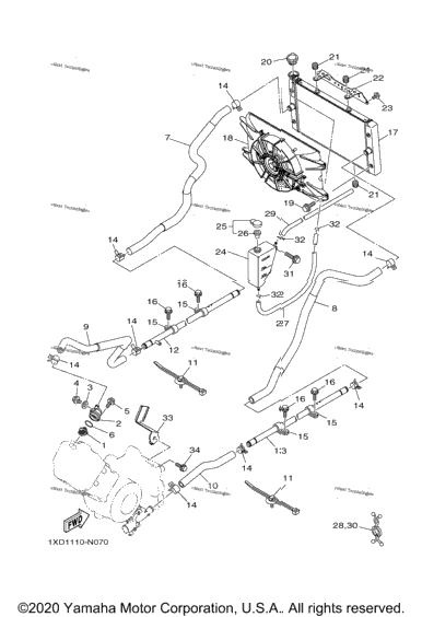 Radiator Hose