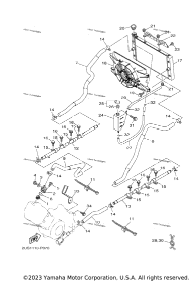 Radiator & Hose