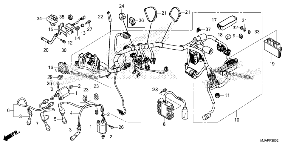 Wire Harness (3)