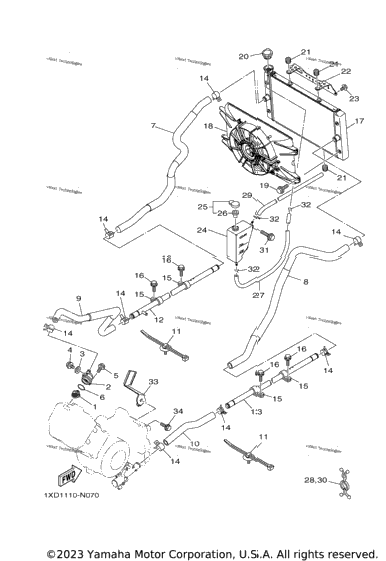 Radiator & Hose