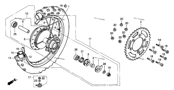 Rear Wheel