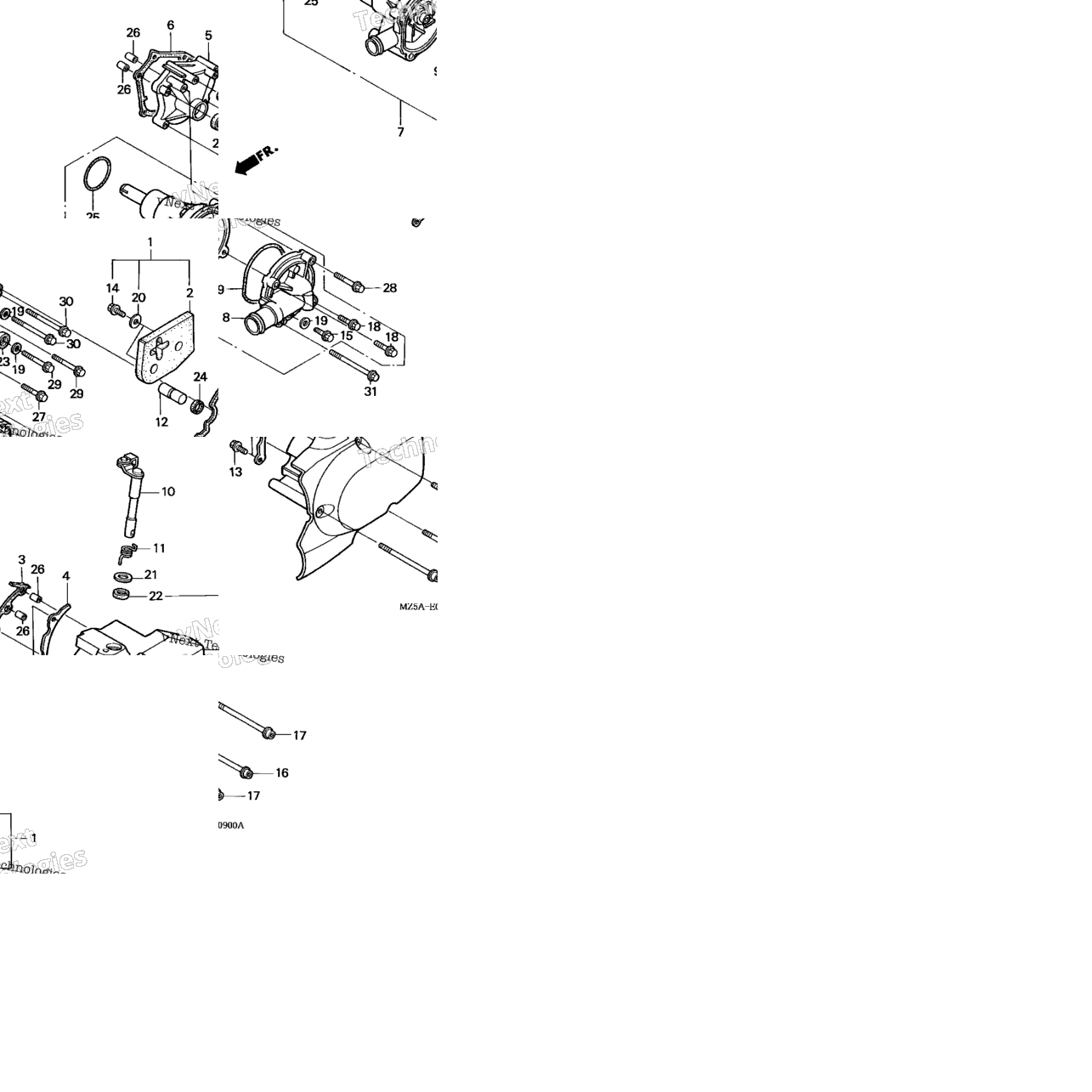Water Pump