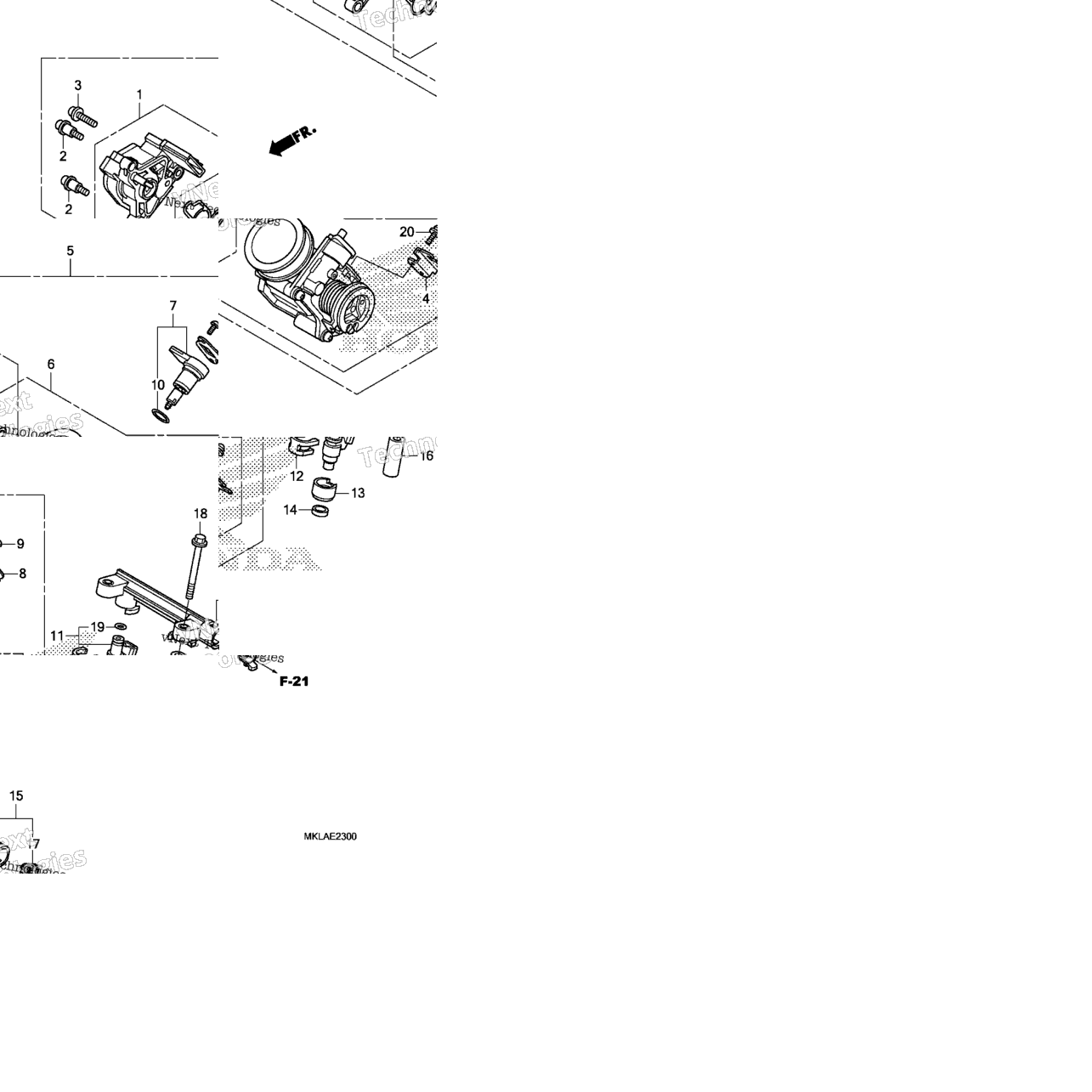 Throttle Body