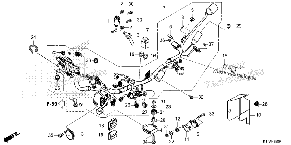 Wire Harness (1)