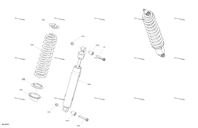 Suspension - Rear Shocks