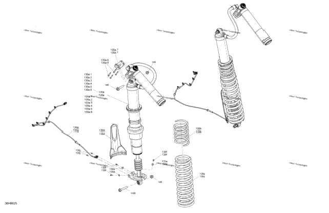Suspension - Rear Shocks - With Smart-Shox