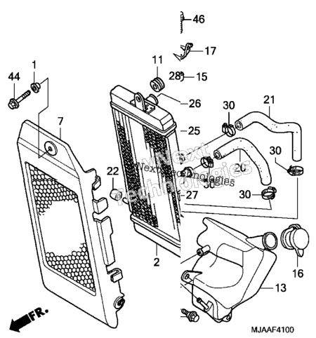 Radiator (1)