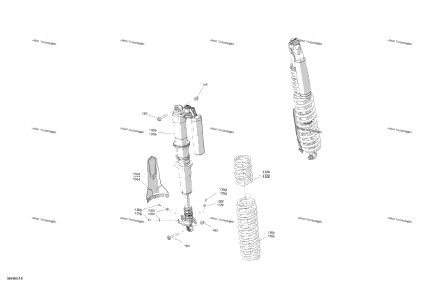 Suspension - Rear Shocks