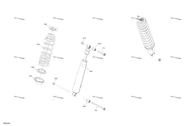 Suspension - Rear Shocks