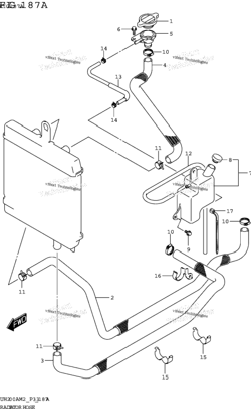 Radiator Hose