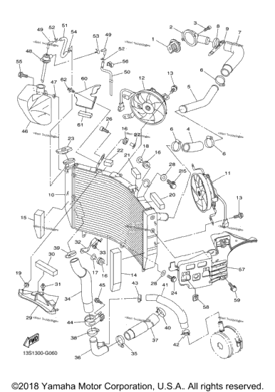 Radiator Hose