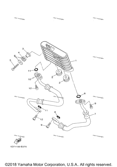 Oil Cooler