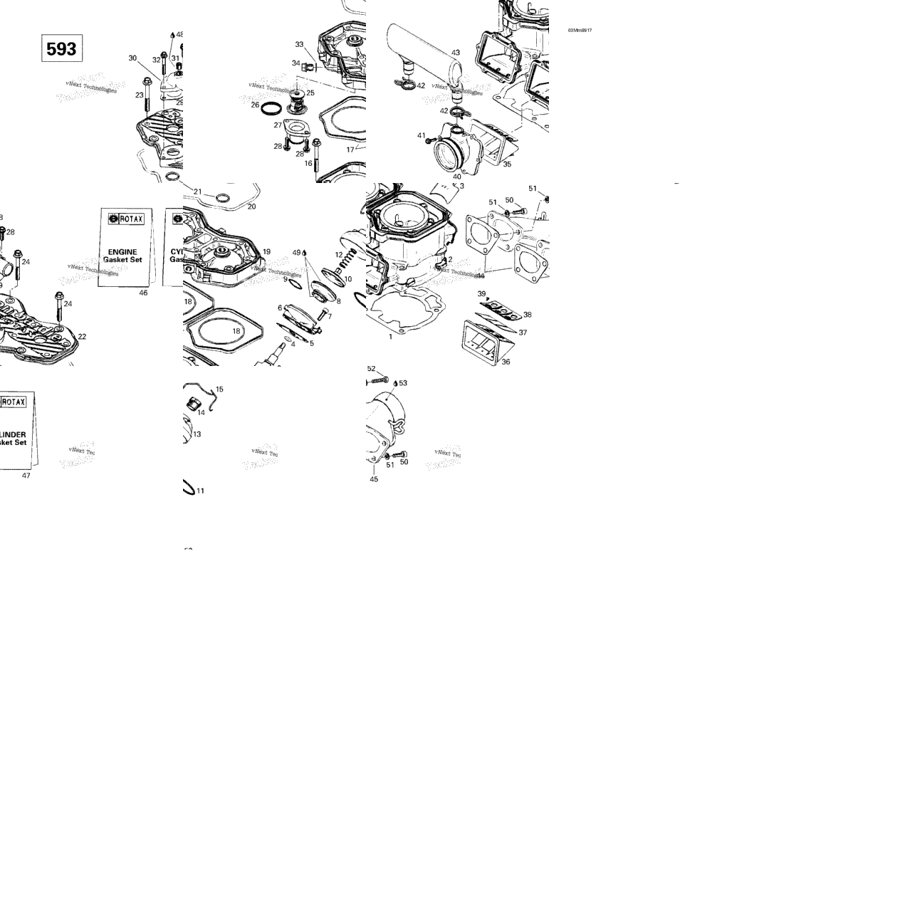 Cylinder, Exhaust Manifold, Reed Valve (593)