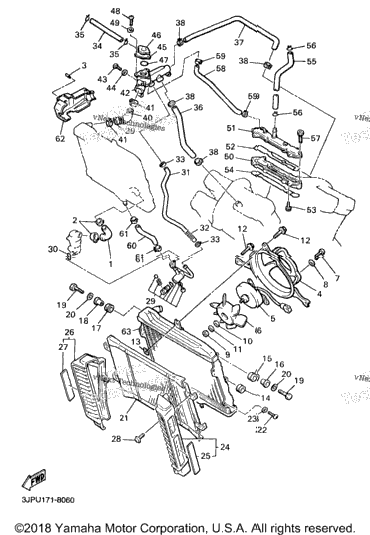 Radiator Hose